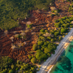 Île Maurice et Madagascar deux voisins océaniques aux visages opposés