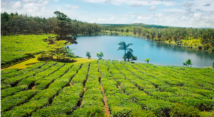 Île Maurice quelles sont les températures toute l’année Moyennes réelles, mer et variations saisonnières