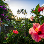 Les saisons à l'île Maurice tout comprendre avant de partir