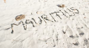 Voyagistes île Maurice comment choisir le bon spécialiste pour organiser son séjour en 2026