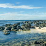 Balaclava à l'île Maurice guide complet de ce village de la côte nord-ouest