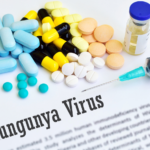 Chikungunya à l'île Maurice situation en 2026, symptômes et conseils pour les voyageurs