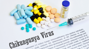 Chikungunya à l'île Maurice situation en 2026, symptômes et conseils pour les voyageurs