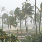 Cyclone Garance et l'île Maurice chronique d'un quasi-passage en février 2025