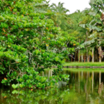L'île Maurice en septembre le mois idéal selon ceux qui savent