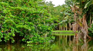 L'île Maurice en septembre le mois idéal selon ceux qui savent