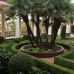 Location à l'île Maurice villas, appartements et bungalows — guide complet 2026