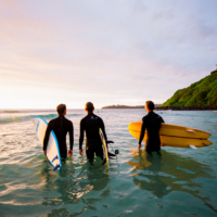 Rivière Noire, île Maurice : guide complet du district nature et surf