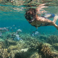 Snorkeling à l&rsquo;île Maurice : les meilleurs spots et conseils pratiques 2026