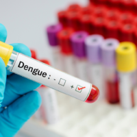 Dengue à l&rsquo;île Maurice : situation 2026, symptômes et prévention