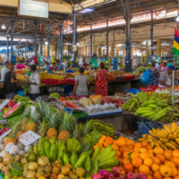 Épiceries et supermarchés à l&rsquo;île Maurice : guide complet pour faire ses courses