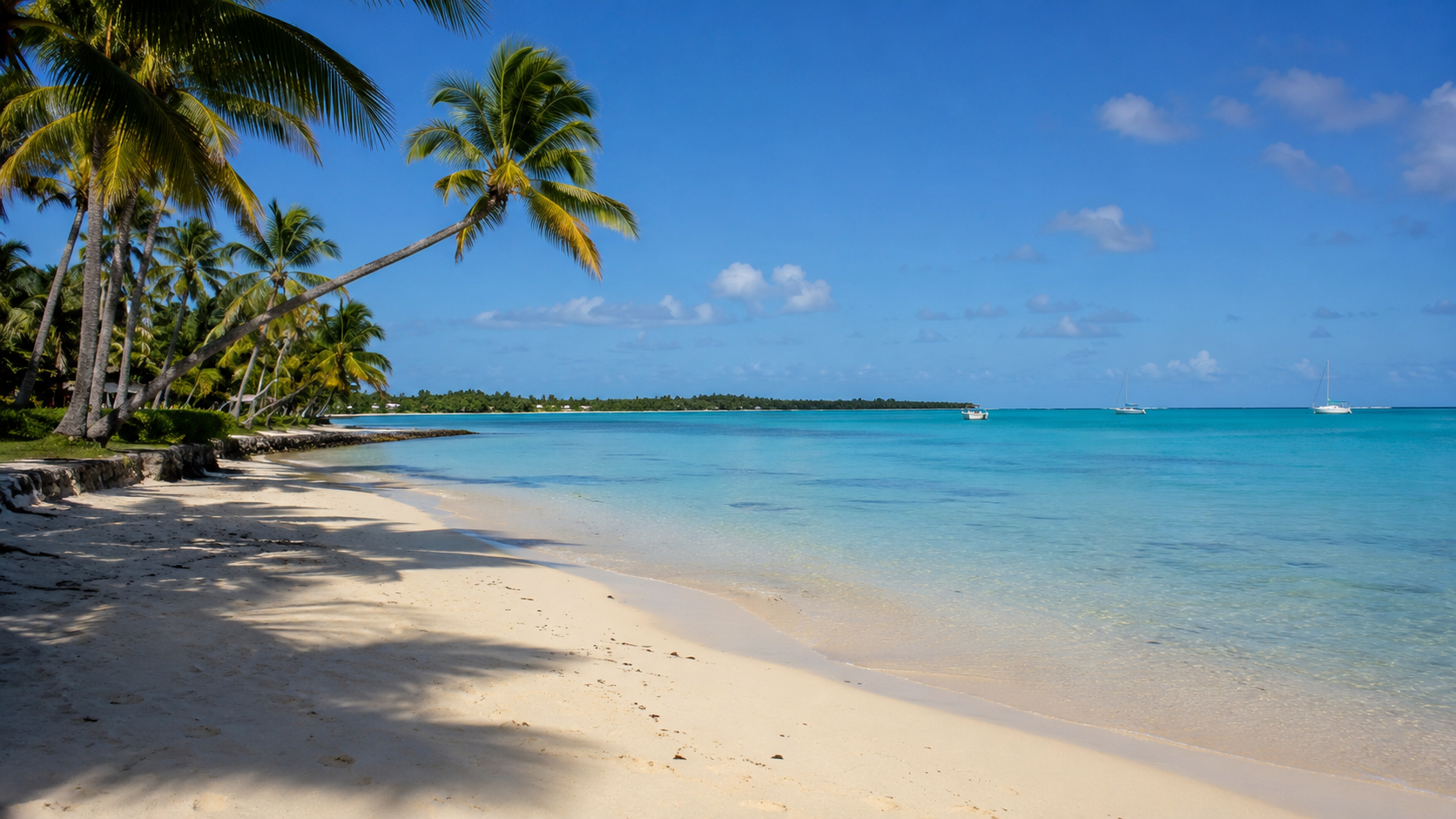 Tropical beach