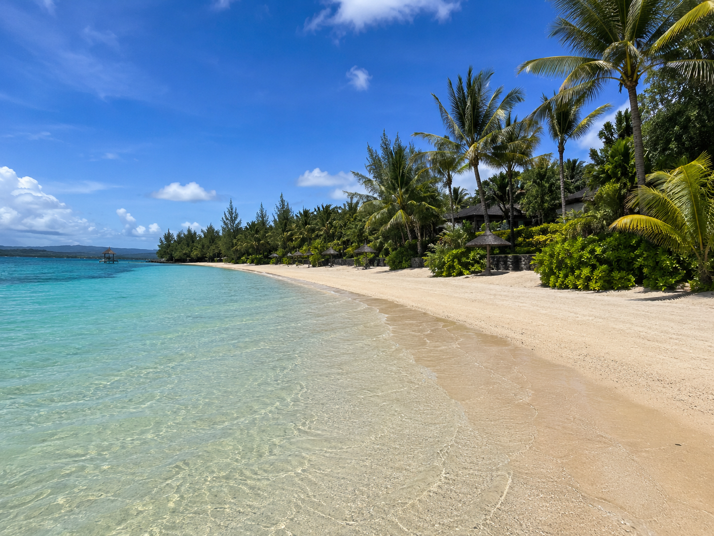 Tropical beach